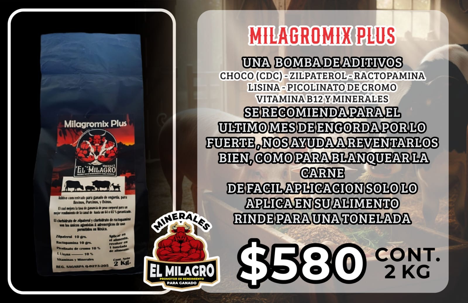 Súper Engorda